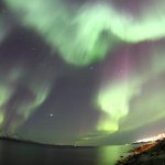 De beste fotografene i Alstahaug