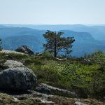 De beste fotografene i Ã…seral