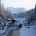 De beste fotografene i Grane