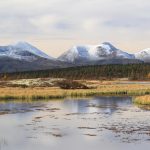 De beste fotografene i Rendalen