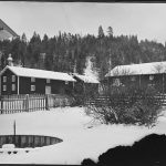 De beste fotografene i Stor-Elvdal