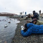 De beste fotografene i Straumen