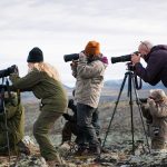 De beste fotograf i Farnes