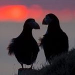 De beste fotograf i Loppa