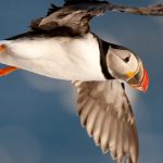 De beste Fotograf i Lunde