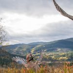 De beste fotografen i Dalen