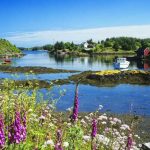 De beste fotografene i Radøy