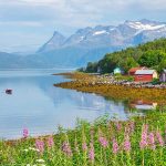De beste fotografene i Sjøvegan