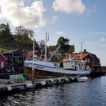 De beste fotografene i Sokndal